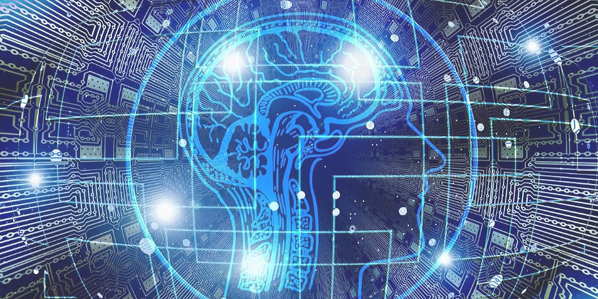 Why choose 4D for your next project?